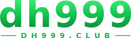 dh999 logo
